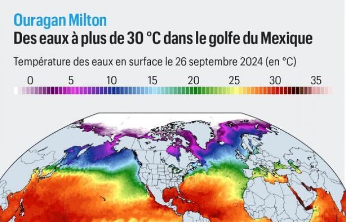 Maximum category, warm waters… Why Hurricane Milton could be “the worst storm in Florida in a century”?