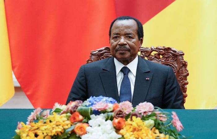 Cameroonian President Paul Biya, 91, in good health, government says