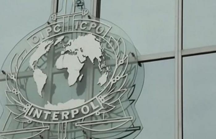 “Identify me”: Interpol calls for help from the general public to identify the bodies of 46 unknown people: News