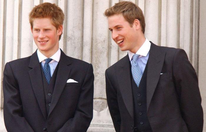 “They dodged a bullet”: Princes William and Harry banned from partying at P. Diddy, the revelations