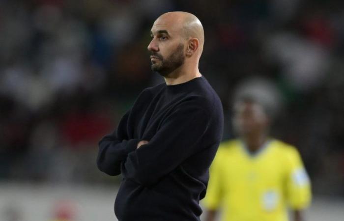 Regragui, Petkovic, Broos… Who are the highest paid coaches in Africa?