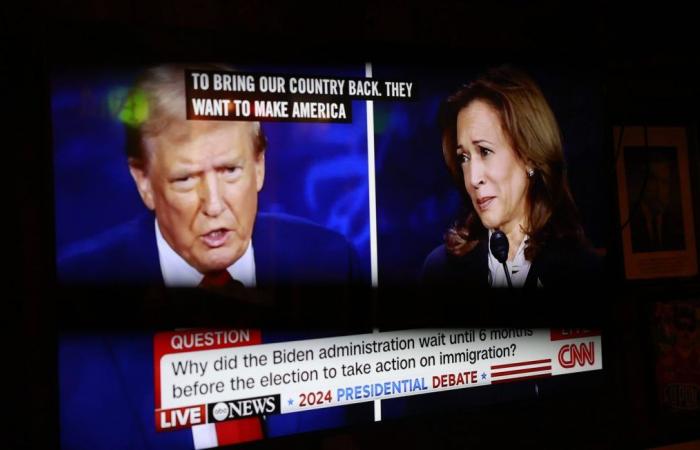 Kamala Harris and Donald Trump send sweet words to each other via interviews