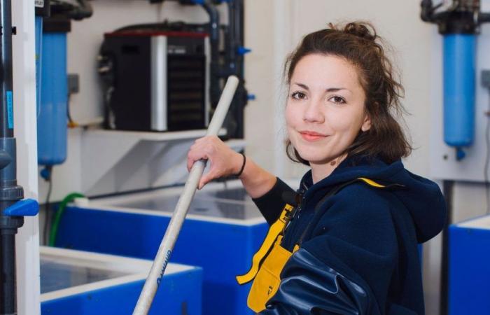 A young scientist from Yonne receives a prize for her research on the preservation of sharks