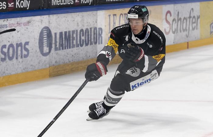 Champions Hockey League: Friborg regains color