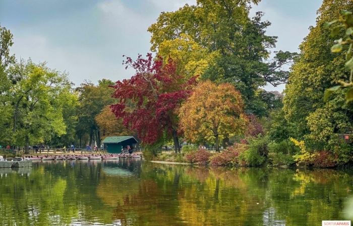 Let’s Live Vélo: solidarity ride and treasure hunt for the benefit of the Pasteur Institute in Bois de Vincennes