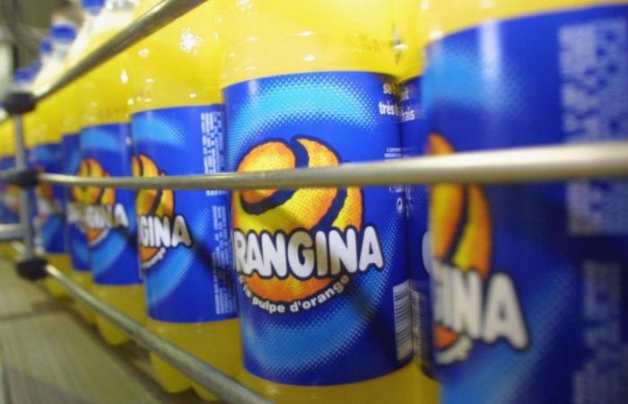 Orange shortage: the price of Orangina and Oasis could increase