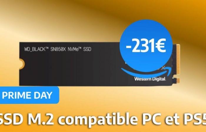 Prime Day: the price of one of the best 2 TB SSDs for PC and PS5 collapses, the WD 850X finally accessible to all