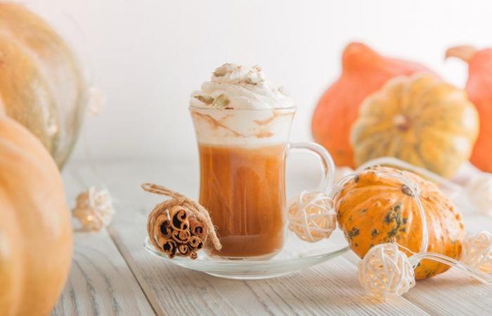 Guide to the most popular pumpkin lattes in Montreal right now