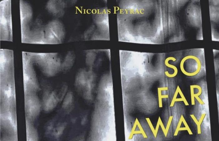 “So Far Away” by Nicolas Peyrac: a poetic journey, a moving book