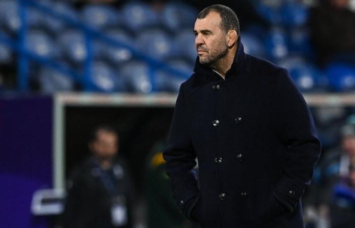 International – Michael Cheika, his very strong link with Lebanon