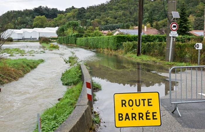 floods, fallen trees and power outages