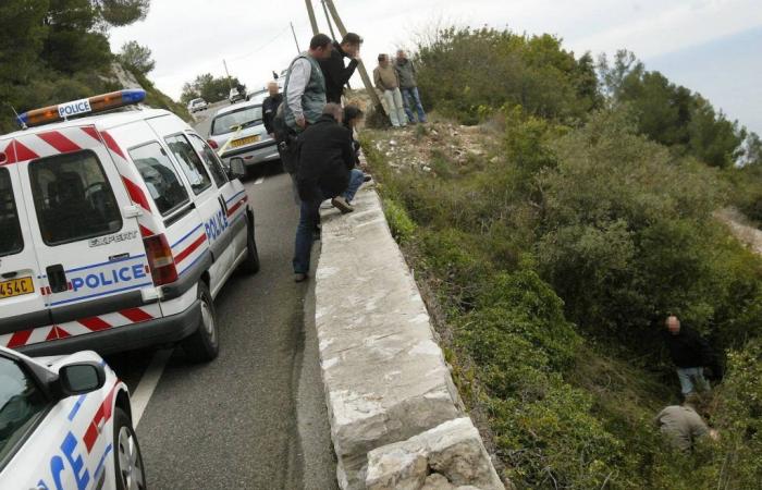 A “Jean & Nelly” alliance, her body among the brambles… what we know about “the woman with the ring” found dead near Nice in 2008, whose investigation Interpol is relaunching