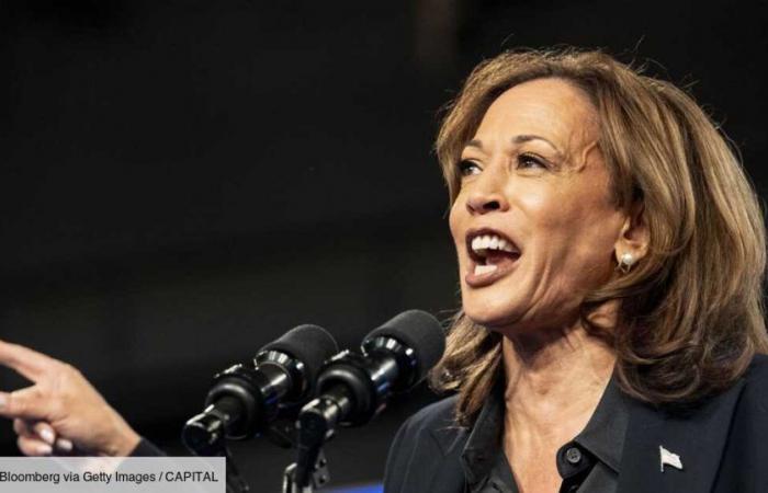 Kamala Harris “won’t end US protectionism if Donald Trump is defeated”