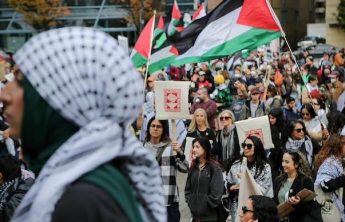 Police investigate pro-Palestinian protest