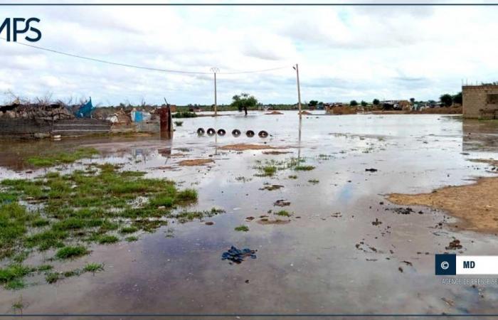 SENEGAL-FLOODS-REPORTAGE / Dandé Mayo Nord: the daily lives of residents disrupted by heavy flooding – Senegalese Press Agency