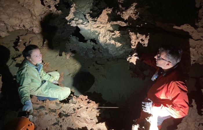 Drought in Hérault: what is the state of water reserves? Dive into the bowels of the Clamouse cave to better understand