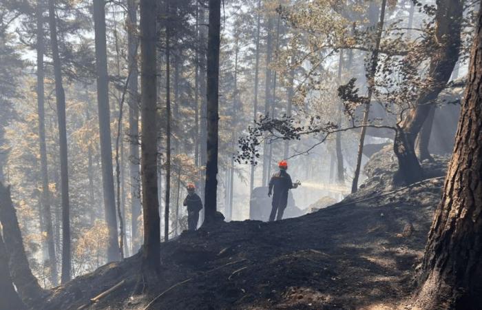 the east of France anticipates a doubling of fire risk