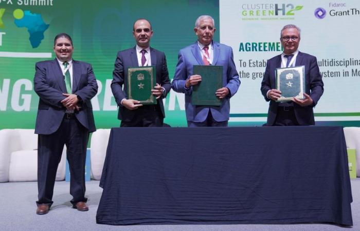 Morocco, spearhead of green hydrogen