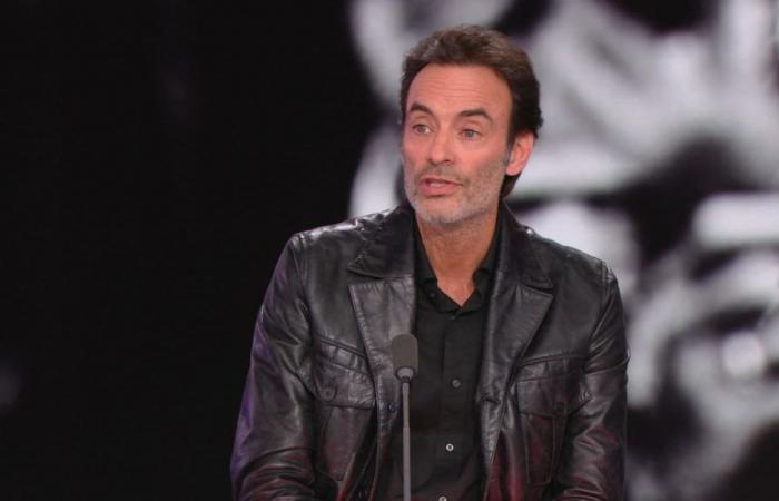 Anthony Delon invited for the closing of the 2024 edition of the Lumière Festival