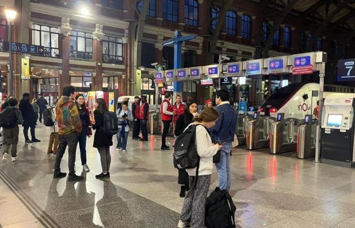 Train traffic disrupted in Hauts-de-France after cable theft at Lille Flandres station