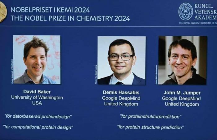 Nobel Prize in Chemistry rewards work on protein design and prediction