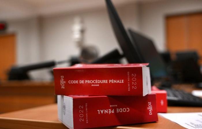 Seine-et-Marne: a man sentenced for sending pornographic videos to his daughter-in-law