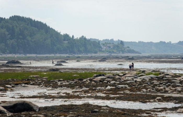 Mobilization against the ban on feeder fishing in the St. Lawrence River