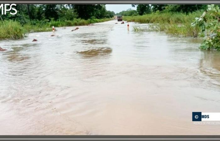 SENEGAL-ENVIRONNEMENT / Saraya isolated from the rest of the country by the overflow of the Falémé and backwaters (witness) – Senegalese press agency