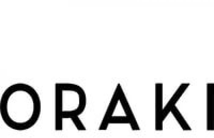 TikTok and Reels Specialist | ORAKI inc.