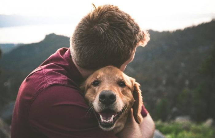 She wins the lottery, her partner insists that their dog receives his share