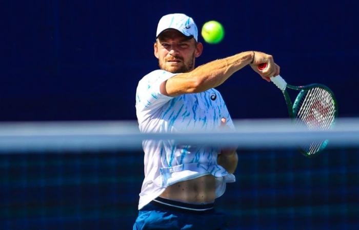 David Goffin upends Zverev in Shanghai for first top 10 win in two years