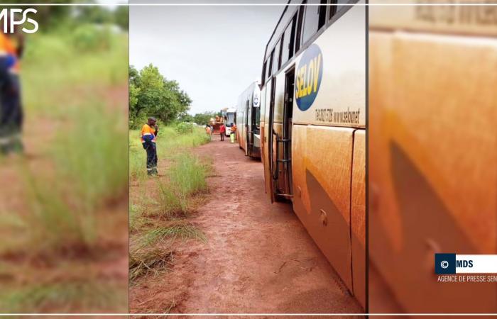 SENEGAL-ENVIRONNEMENT / Saraya isolated from the rest of the country by the overflow of the Falémé and backwaters (witness) – Senegalese press agency