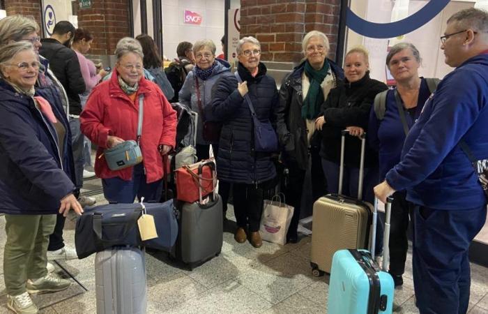 Lille Flandres: traffic “interrupted” after a “cable theft”, the SNCF invites you to “postpone your trip”