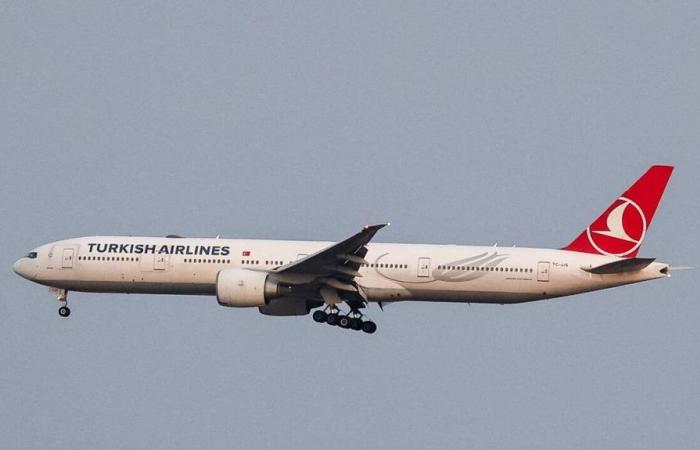 Pilot dies mid-flight on Turkish Airlines plane