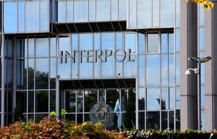 Interpol needs your help to put a name to a body found in Saint-Denis