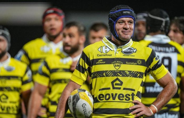 Pro D2 – Willie du Plessis (Stade Montois): “I rediscovered my love for rugby in Mont-de-Marsan”