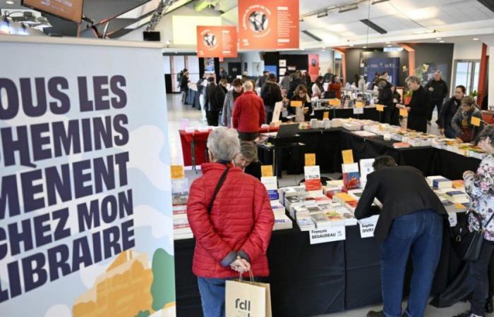 the Bron Book Festival is scuttled