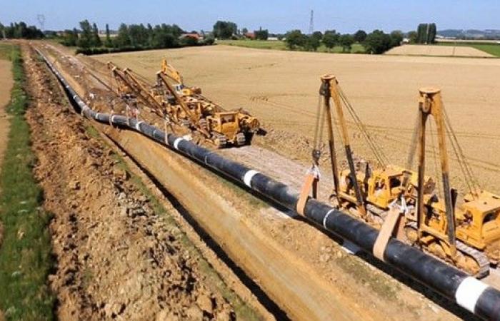 The Nigeria-Morocco gas pipeline will have a positive impact on the countries of the West African coast (Interview)