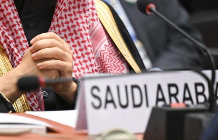 UN General Assembly rejects Saudi Arabia’s entry into the Human Rights Council