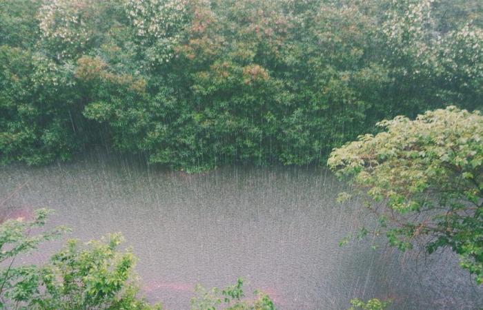 Essonne rivers on alert as Storm Kirk approaches