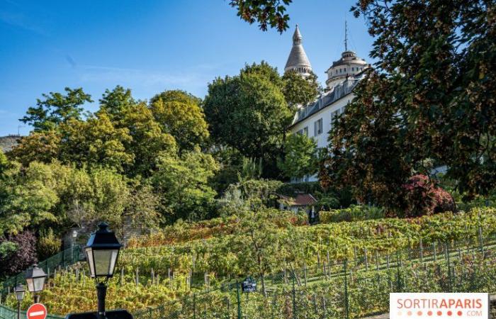 Montmartre Harvest Festival 2024: here are 5 events not to be missed