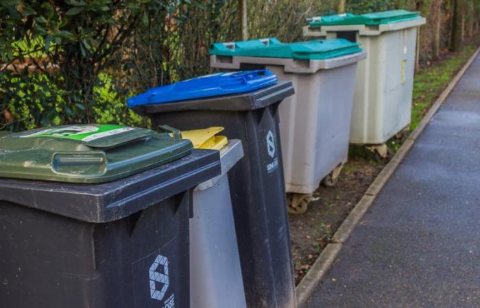 What you need to know about the new waste collection arrangements