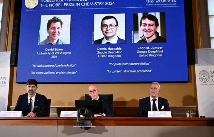 2024 Nobel Prize in Chemistry highlights importance of 3D structure of proteins