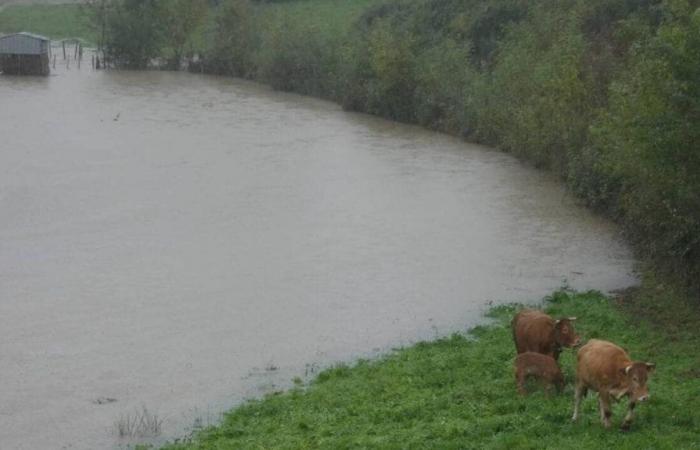 Storm Kirk. The blow is hard for the farmers and market gardeners of Loire-Atlantique