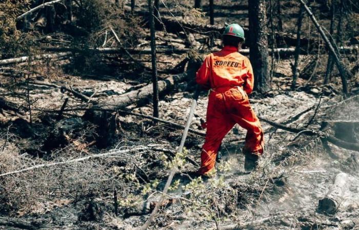 The Chapais fire would have cost Quebec at least $4 million