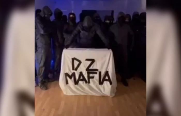 an investigation opened to “identify” the people behind the DZ Mafia video