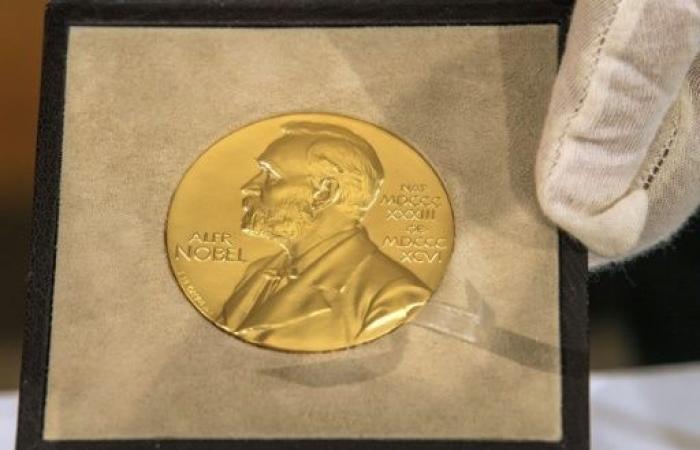 Nobel Prize in Chemistry 2024: Favorite chemical materials and AI-assisted research