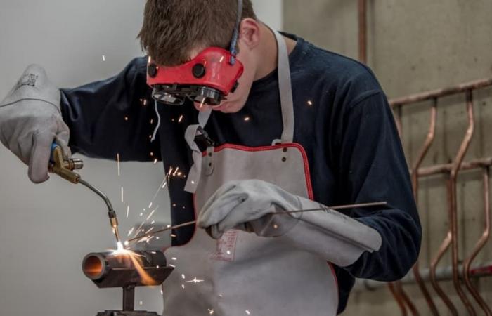 the government wants to reduce exemptions from contributions for apprenticeships