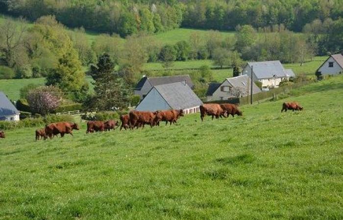 The price of land in the Brittany region