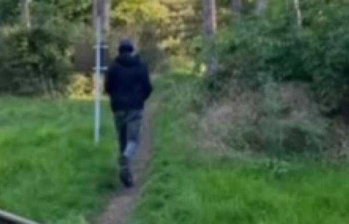 After Philippine, new attempt at sexual assault in the Bois de Boulogne in broad daylight: Jeanne manages to photograph and put her attacker to flight – She tells us last night in TPMP – Video